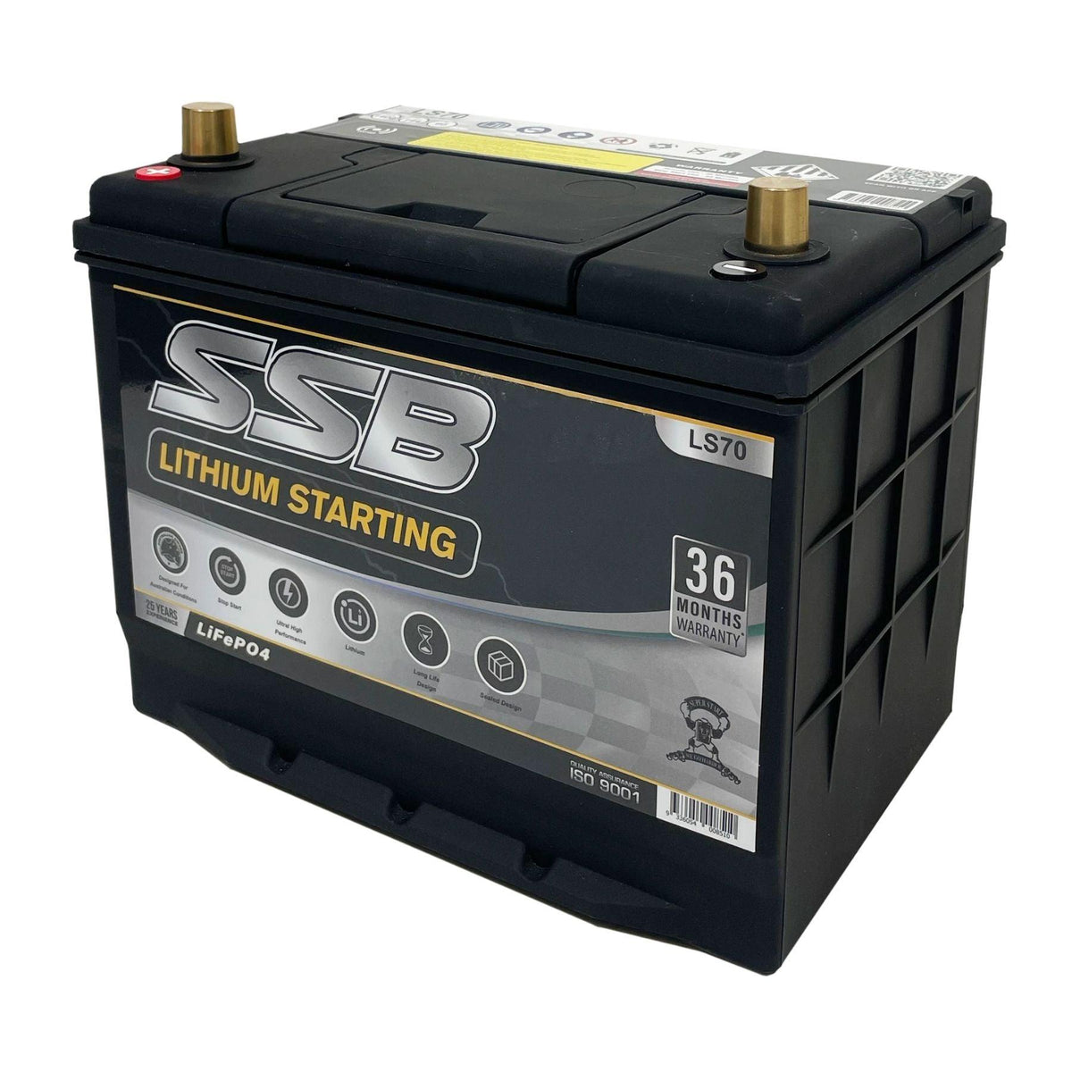 Ls Battery Small SSB LS70 12V 60Ah 1400CCA Lithium Starting Battery — The Boating Emporium